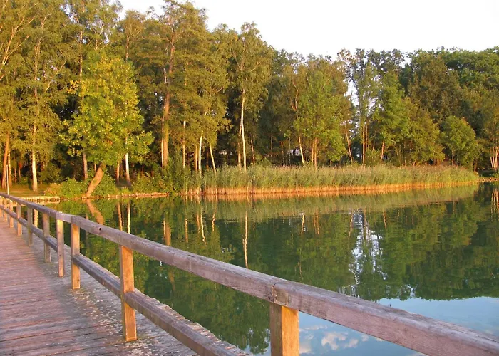 Nr-7 By Interhome Apartment Bad Saarow